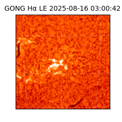 gong - 2025-08-16T03:00:42