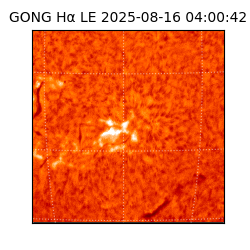 gong - 2025-08-16T04:00:42