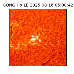 gong - 2025-08-16T05:00:42