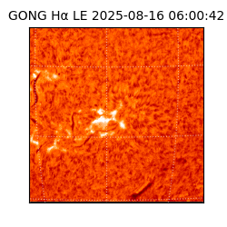 gong - 2025-08-16T06:00:42
