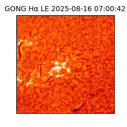 gong - 2025-08-16T07:00:42