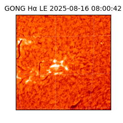 gong - 2025-08-16T08:00:42