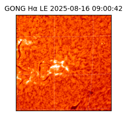 gong - 2025-08-16T09:00:42