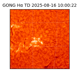 gong - 2025-08-16T10:00:22