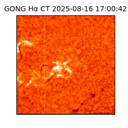 gong - 2025-08-16T17:00:42