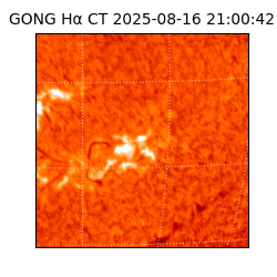 gong - 2025-08-16T21:00:42