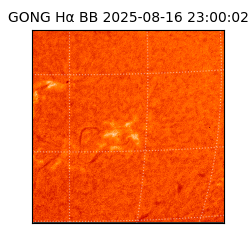 gong - 2025-08-16T23:00:02