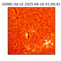 gong - 2025-08-16T01:00:42