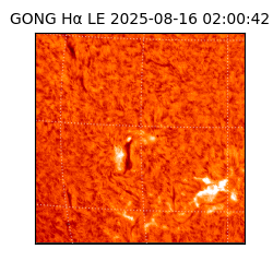 gong - 2025-08-16T02:00:42