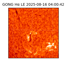 gong - 2025-08-16T04:00:42