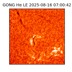 gong - 2025-08-16T07:00:42