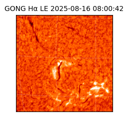 gong - 2025-08-16T08:00:42