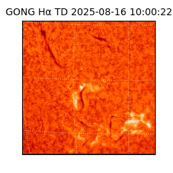 gong - 2025-08-16T10:00:22