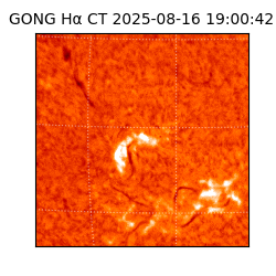 gong - 2025-08-16T19:00:42