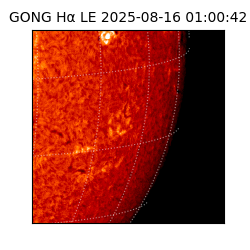 gong - 2025-08-16T01:00:42