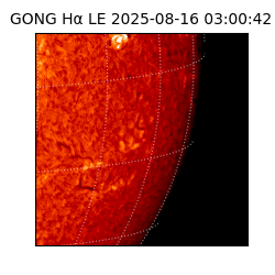 gong - 2025-08-16T03:00:42