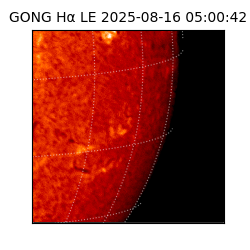 gong - 2025-08-16T05:00:42