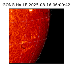 gong - 2025-08-16T06:00:42