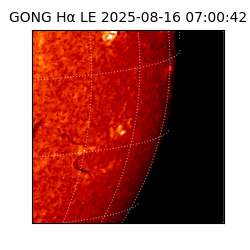 gong - 2025-08-16T07:00:42