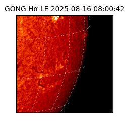 gong - 2025-08-16T08:00:42