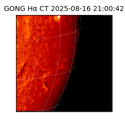 gong - 2025-08-16T21:00:42