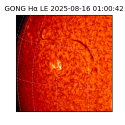 gong - 2025-08-16T01:00:42