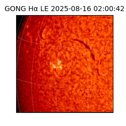 gong - 2025-08-16T02:00:42