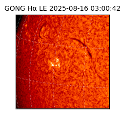 gong - 2025-08-16T03:00:42