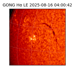 gong - 2025-08-16T04:00:42