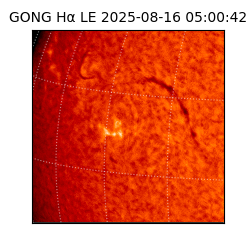 gong - 2025-08-16T05:00:42