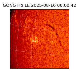 gong - 2025-08-16T06:00:42