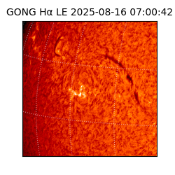 gong - 2025-08-16T07:00:42