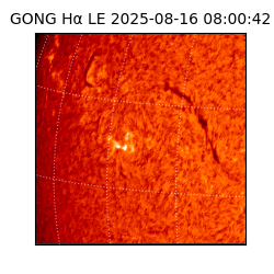 gong - 2025-08-16T08:00:42