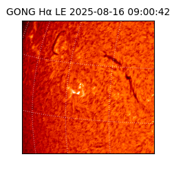 gong - 2025-08-16T09:00:42