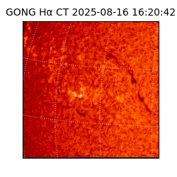 gong - 2025-08-16T16:20:42