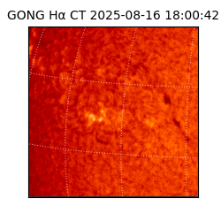 gong - 2025-08-16T18:00:42