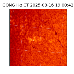 gong - 2025-08-16T19:00:42