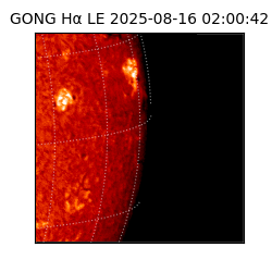 gong - 2025-08-16T02:00:42