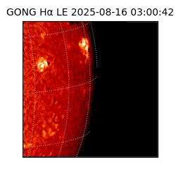 gong - 2025-08-16T03:00:42