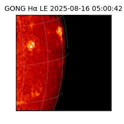 gong - 2025-08-16T05:00:42
