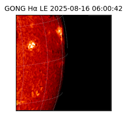 gong - 2025-08-16T06:00:42