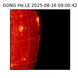 gong - 2025-08-16T09:00:42