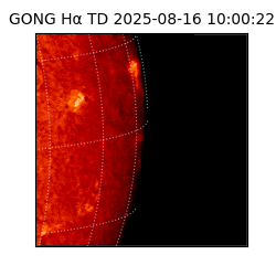 gong - 2025-08-16T10:00:22