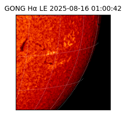 gong - 2025-08-16T01:00:42