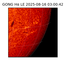 gong - 2025-08-16T03:00:42