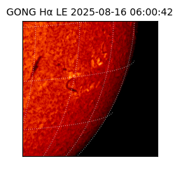 gong - 2025-08-16T06:00:42