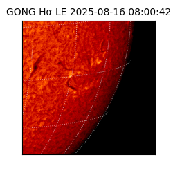 gong - 2025-08-16T08:00:42