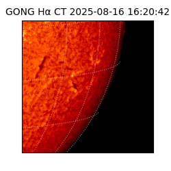 gong - 2025-08-16T16:20:42