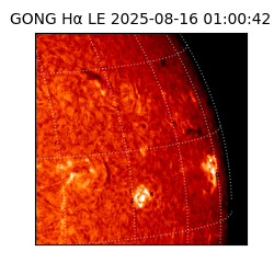 gong - 2025-08-16T01:00:42