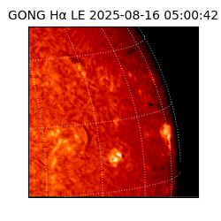 gong - 2025-08-16T05:00:42